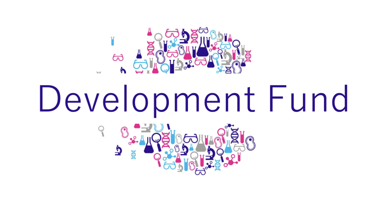 Development Fund logo