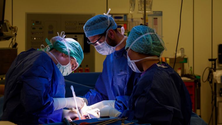 Organ transplant surgery
