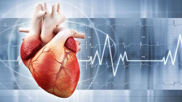 Cardiac or cardiovascular research investigates diseases and surgical procedures of the heart or great vessels.